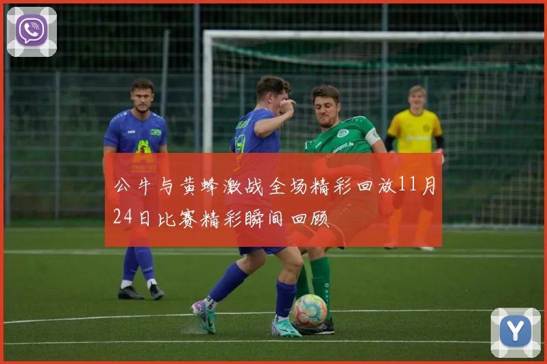 公牛与黄蜂激战全场精彩回放11月24日比赛精彩瞬间回顾