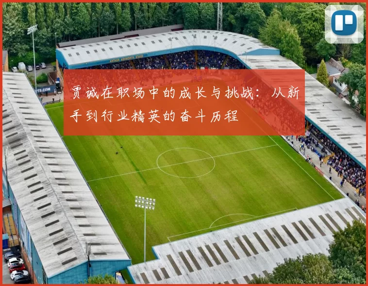 贾诚在职场中的成长与挑战：从新手到行业精英的奋斗历程