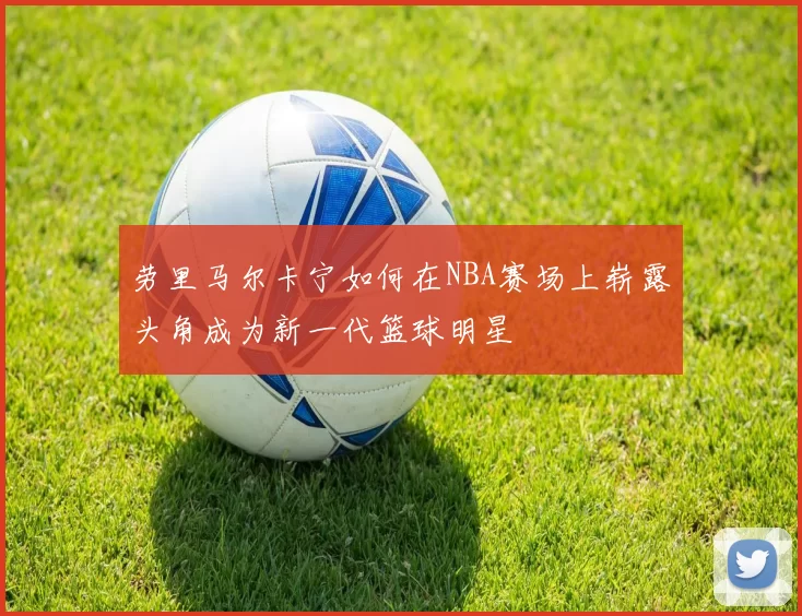 劳里马尔卡宁如何在NBA赛场上崭露头角成为新一代篮球明星