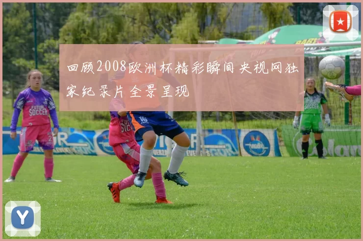 回顾2008欧洲杯精彩瞬间央视网独家纪录片全景呈现